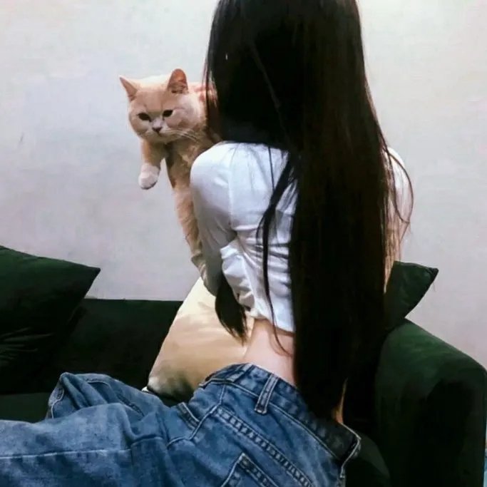 七界第一仙